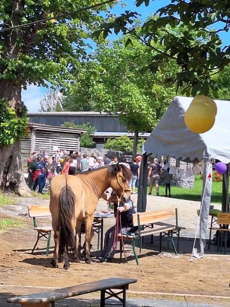 Ponyreiten - Sommersonnenwende - Sommerfest auf der Hexenburg 2024