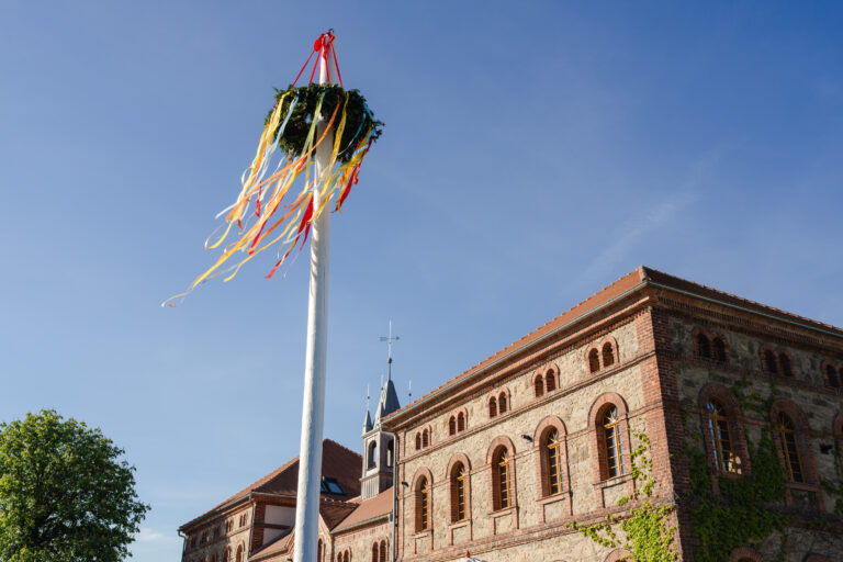 Maibaum My Fire Frühlungsfest auf der Hexenburg bei Dresden
