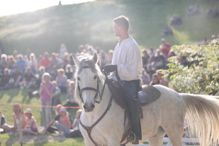 16e0f787-ac96-415d-930c-b0f5412d8c87