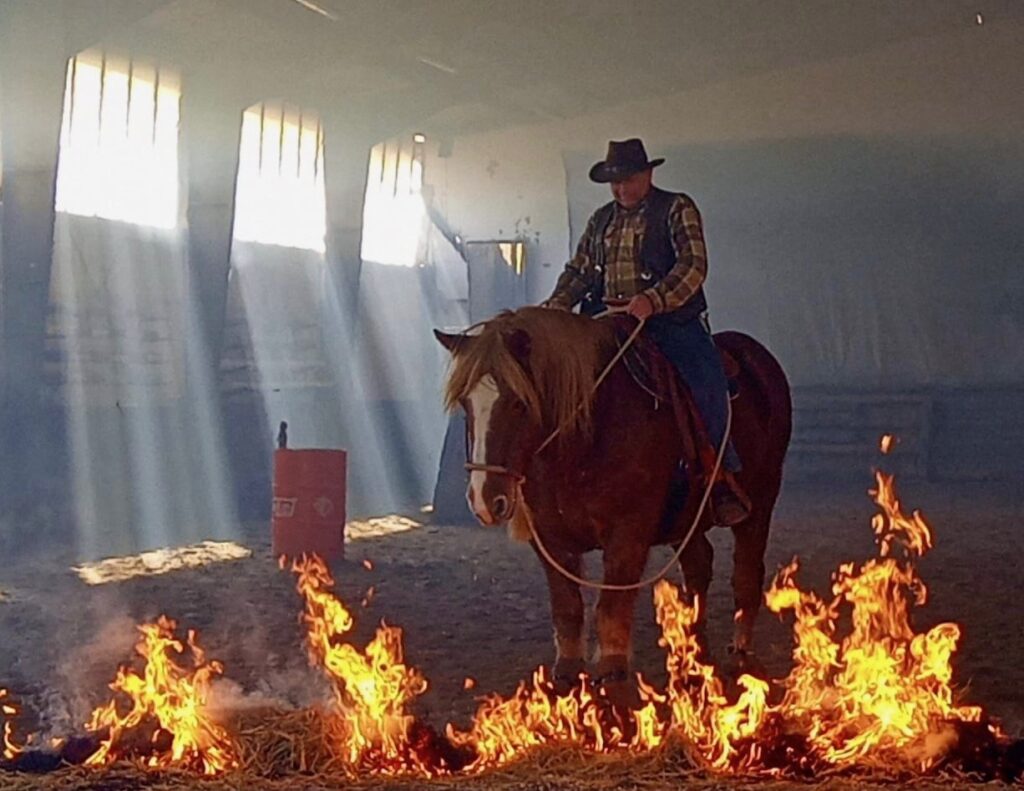 c6808b9b-4645-4bf4-a999-ebc8f455644d