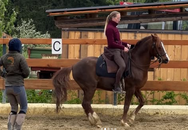 Screenshot 2026-02-25 203613