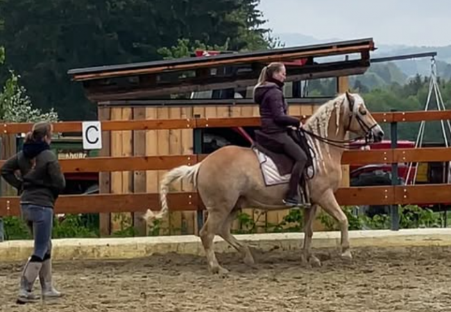 Screenshot 2026-02-25 203629